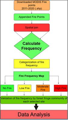 Effect of forest fire on tree diversity and regeneration in the forests of Uttarakhand, Western Himalaya, India